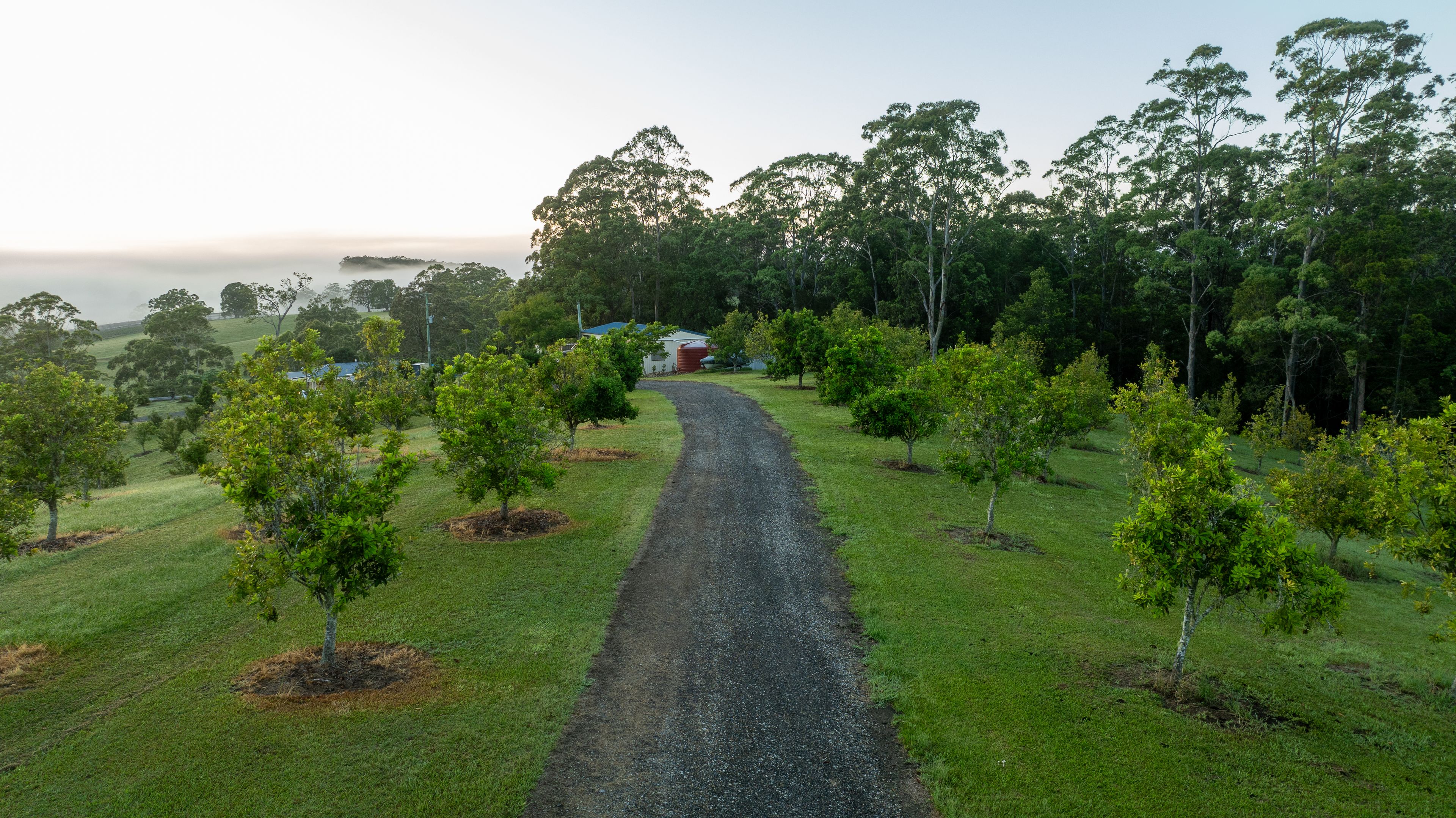 223 CONGARINNI RD SOUTH, CONGARINNI NSW 2447, 0 Kuwarto, 0 Banyo, Lifestyle Property