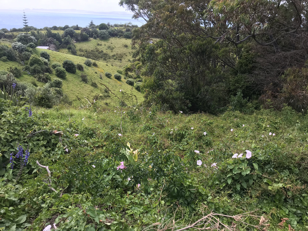 43 Ocean View Crescent, Rakino Island, Auckland, 0 ਕਮਰੇ, 0 ਬਾਥਰੂਮ