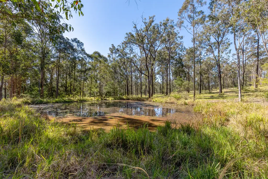 Clarence Town 10 Vacant Acres – Build, Create, Develop!