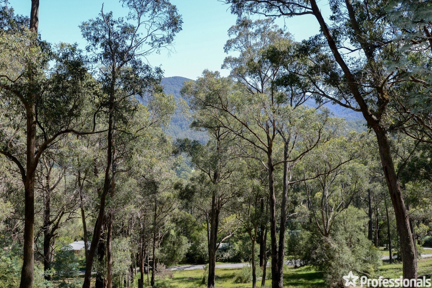 16 YARRA VALLEY CR, EAST WARBURTON VIC 3799, 0 غرف, 0 حمامات, Section