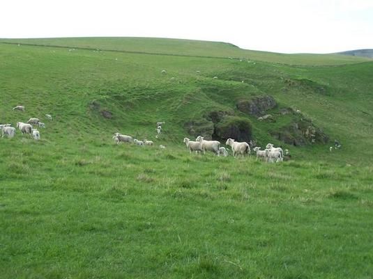 Fortification Road, Kakanui, Waitaki, 0 غرف, 0 حمامات