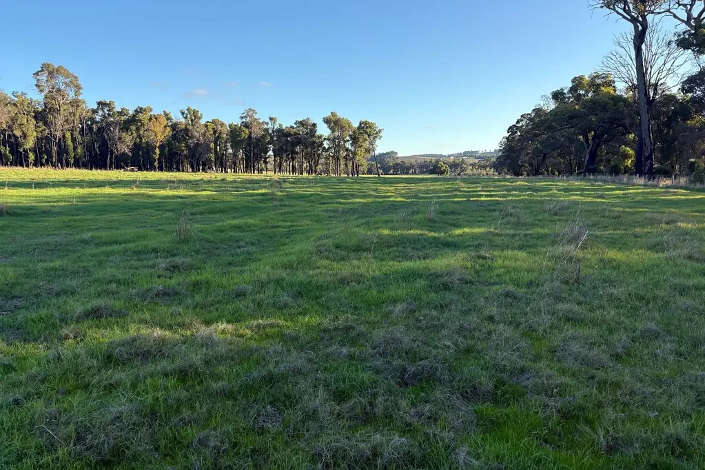 Lot 245 & Donnybrook-Boyup Brook Road, Glen Mervyn, WA 6239