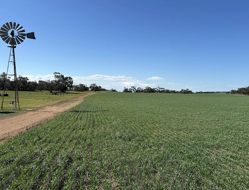 Lot 52 Larne Drive, Mount Wedge, Outback, 0房, 0浴, Lifestyle Property