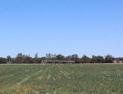 564 Cobba Da Mana Road, Oman Ama, Darling Downs, 7 ਕਮਰੇ, 2 ਬਾਥਰੂਮ, Lifestyle Property