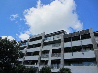 Residential  Terrace Housing and Apartment Building Zone