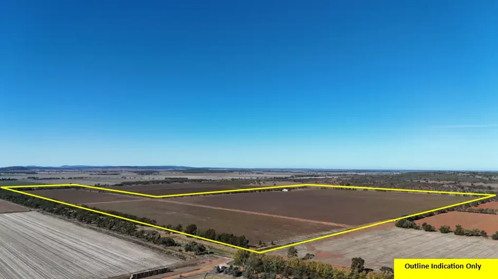 Yenda Large-Scale Vineyard with Development Potential