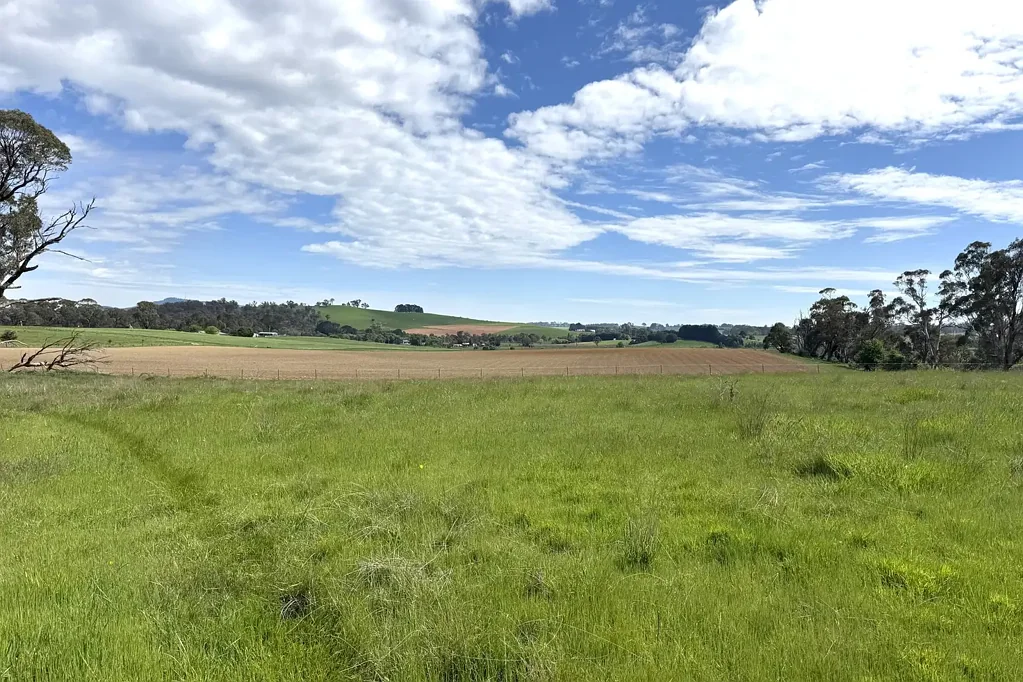 111 Teasdale Road, Neville, NSW 2799