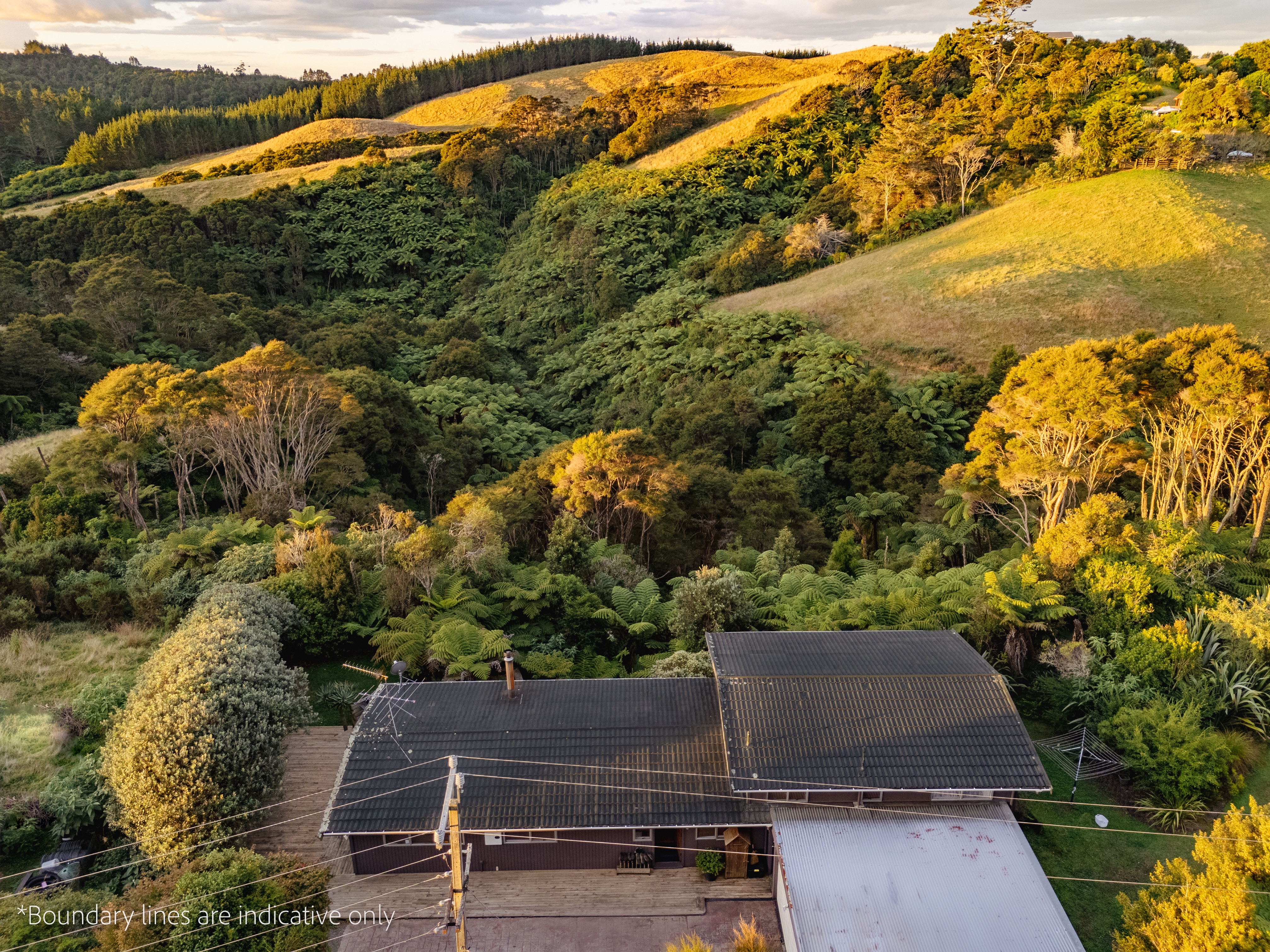 1110 Hunua Road, Hunua, Auckland - Franklin, 5房, 0浴, House