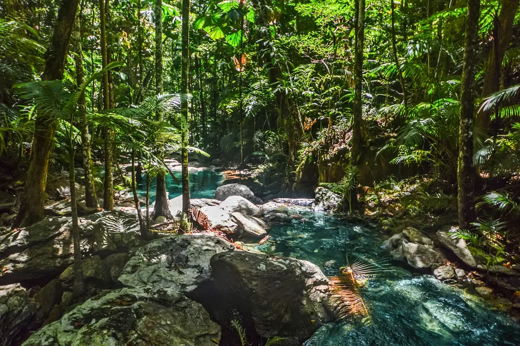 Jubilee Heights  5,868 m²-Approved, Build-Ready Acreage with Private Waterfall – high $300k's.
Expressions of Interest around Low $400,000’s.