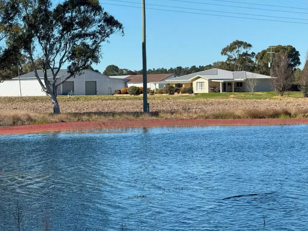 Cottonvale  Superb LifestyleFarming Property