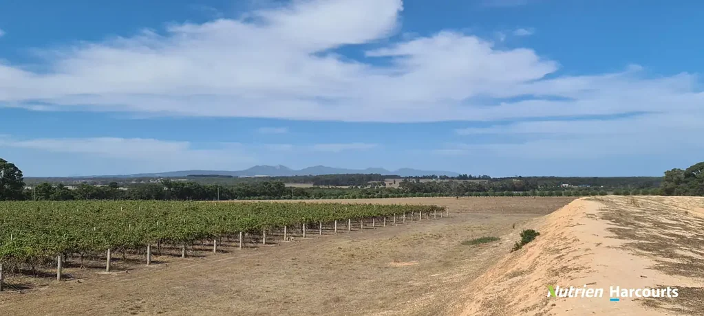 Narrikup  Productive Property in Central Location!