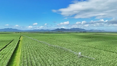 214 Kennys Road, Marian, QLD 4753, 3 slaapkamers, 0 badkamers, Lifestyle Property