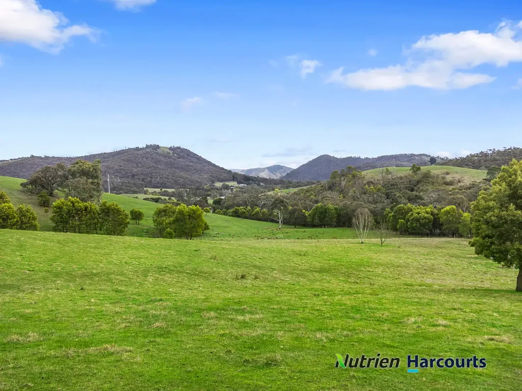 Flowerdale Rural Lifestyle In The Flowerdale Valley