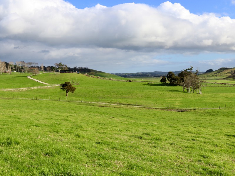 182 Morrison Road, Arapohue, Kaipara, 3房, 0浴