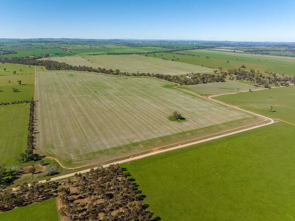 Downside "Esthervale" - A Premier Agricultural Holding with Strategic Regional Access