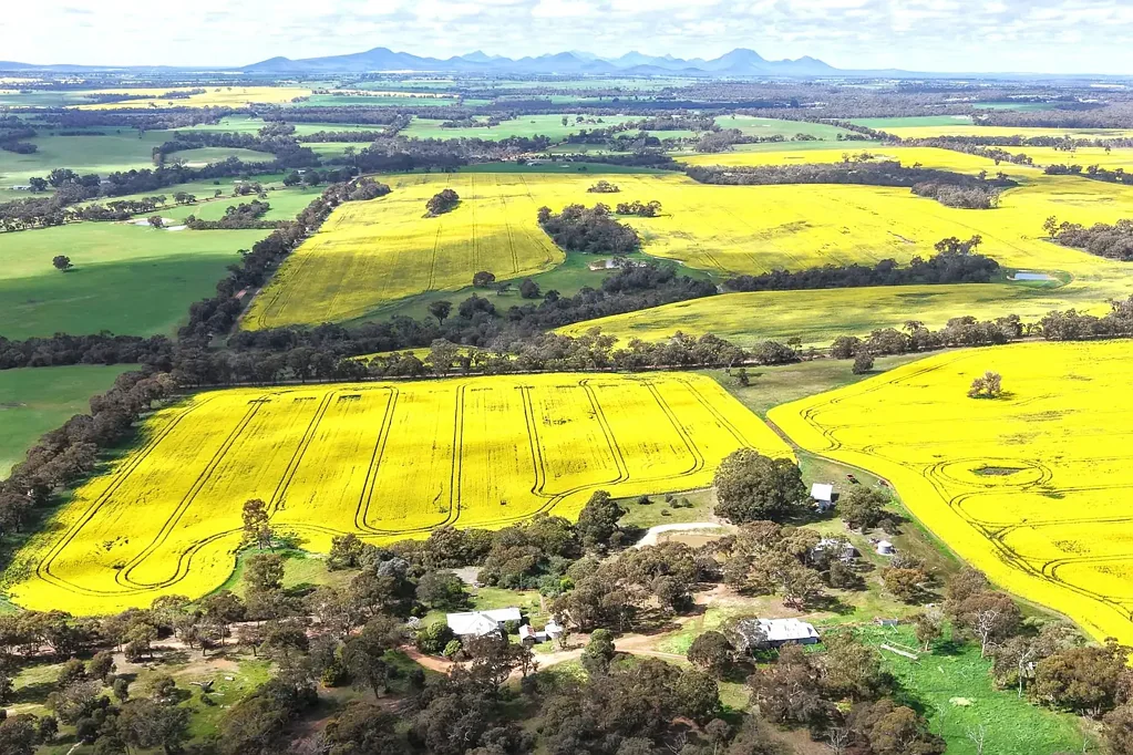 Tenterden Where Productive Soils Meet Prime Location