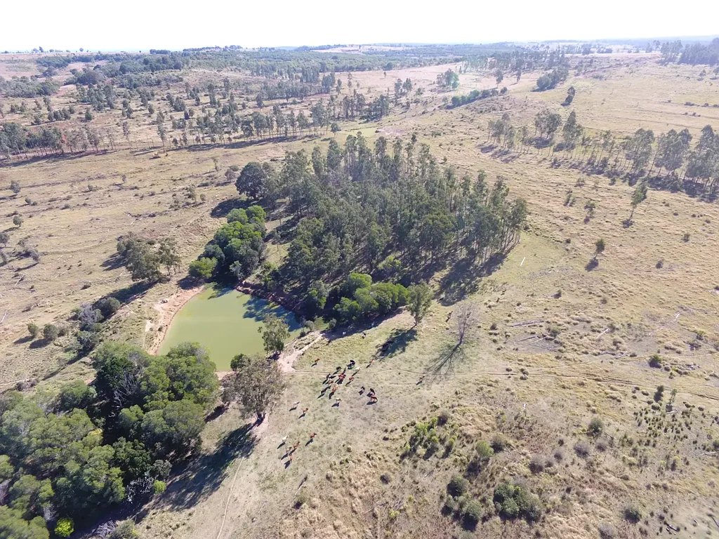 1377 Dangore Mountain Road, Dangore, QLD 4610