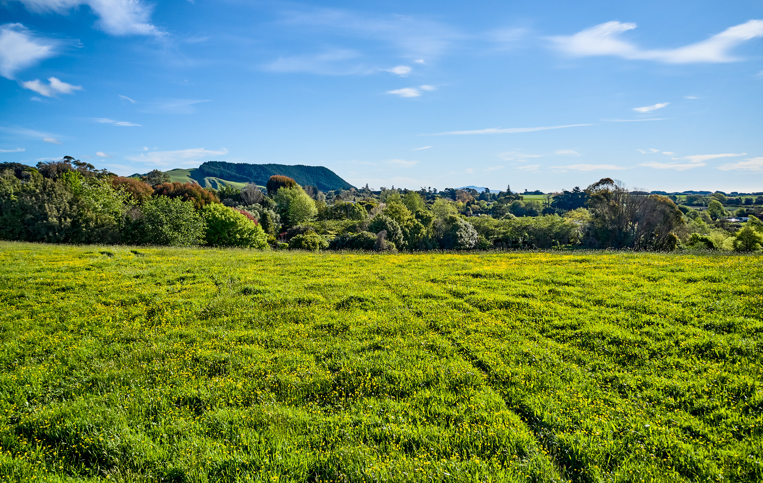 8 Honoiti Ranapiri Place, Manakau, Horowhenua, 5部屋, 0バスルーム