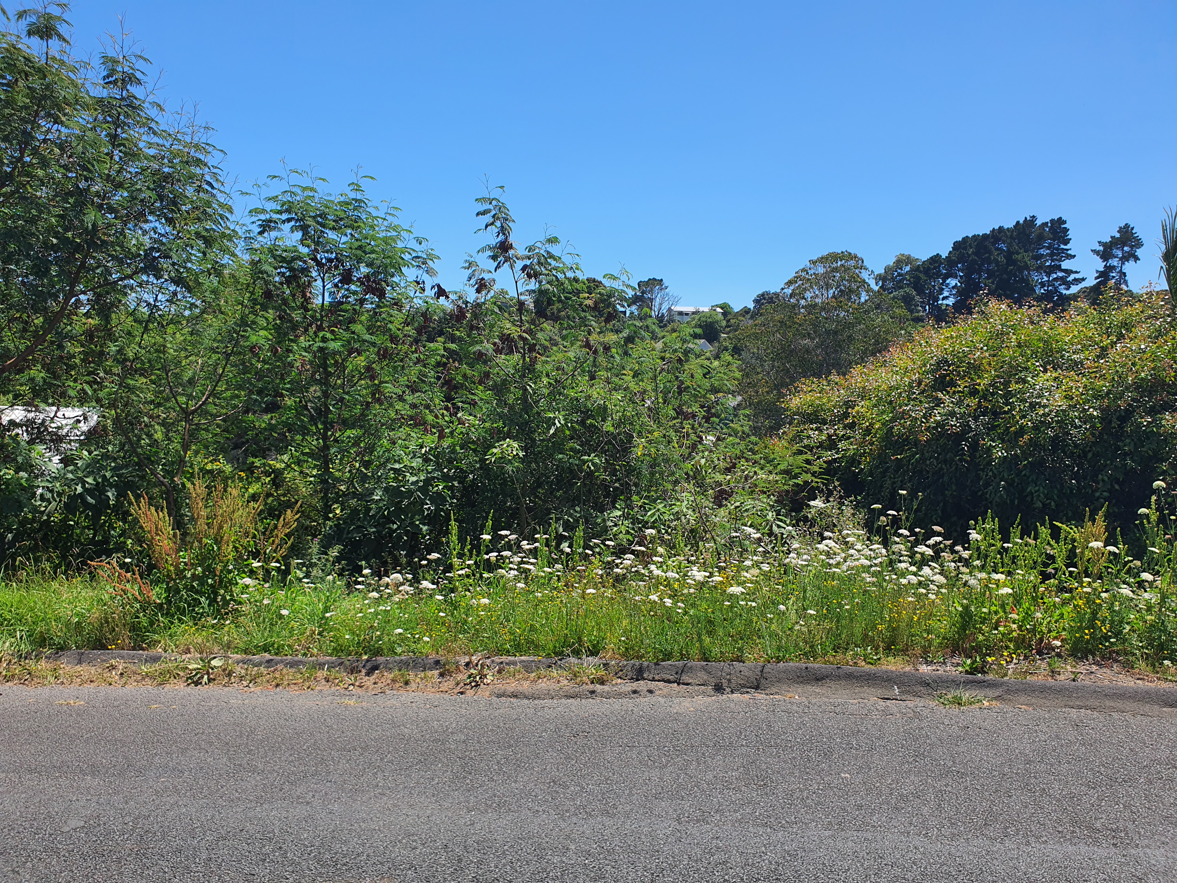 Hauraki Gulf Islands