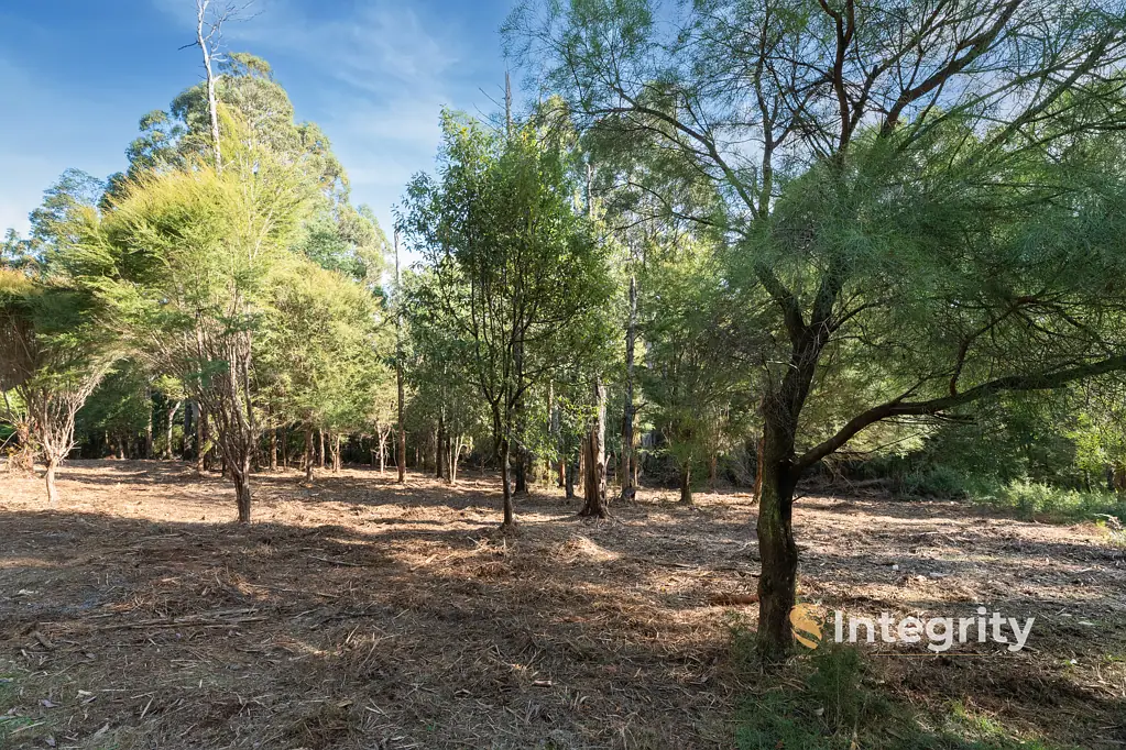 Mount Toolebewong  10 ACRES OVERLOOKING HEALESVILLE
