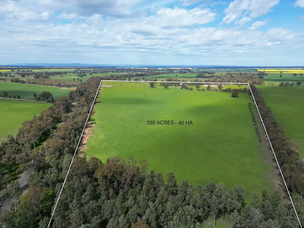 'Burnside' 1009 Howlong-Balldale Road, Balldale, NSW 2646