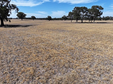 0 Old Canfields Road, Fiery Flat, VIC 3518, 0 રૂમ, 0 બાથરૂમ, Lifestyle Property