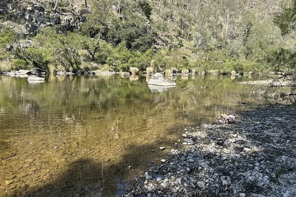 Newton Boyd Your Own 584 Acre Mountain Escape