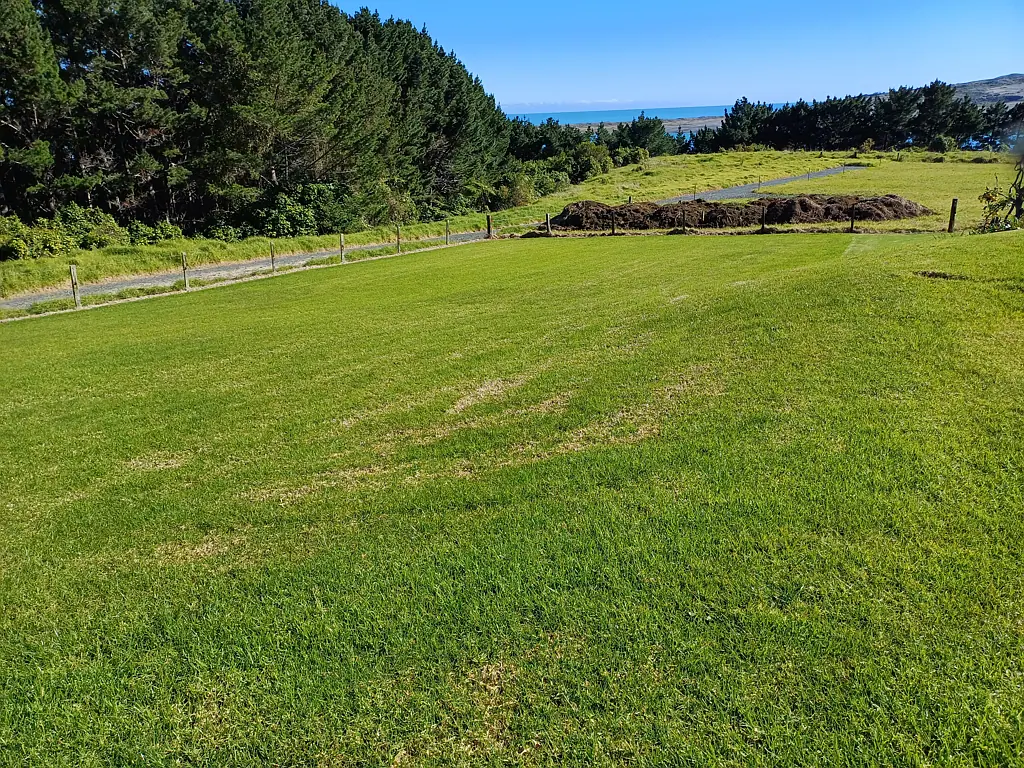Kawhia  Paradise Near the Water