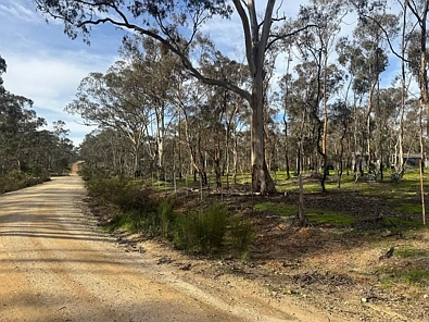 16 Alice Street, Dunolly, VIC 3472, 0房, 0浴, Lifestyle Property