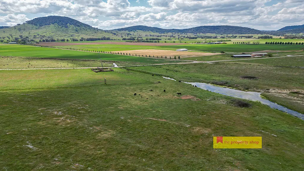 Mudgee BUILD THE DREAM HOME ON EXCEPTIONAL GRAZING