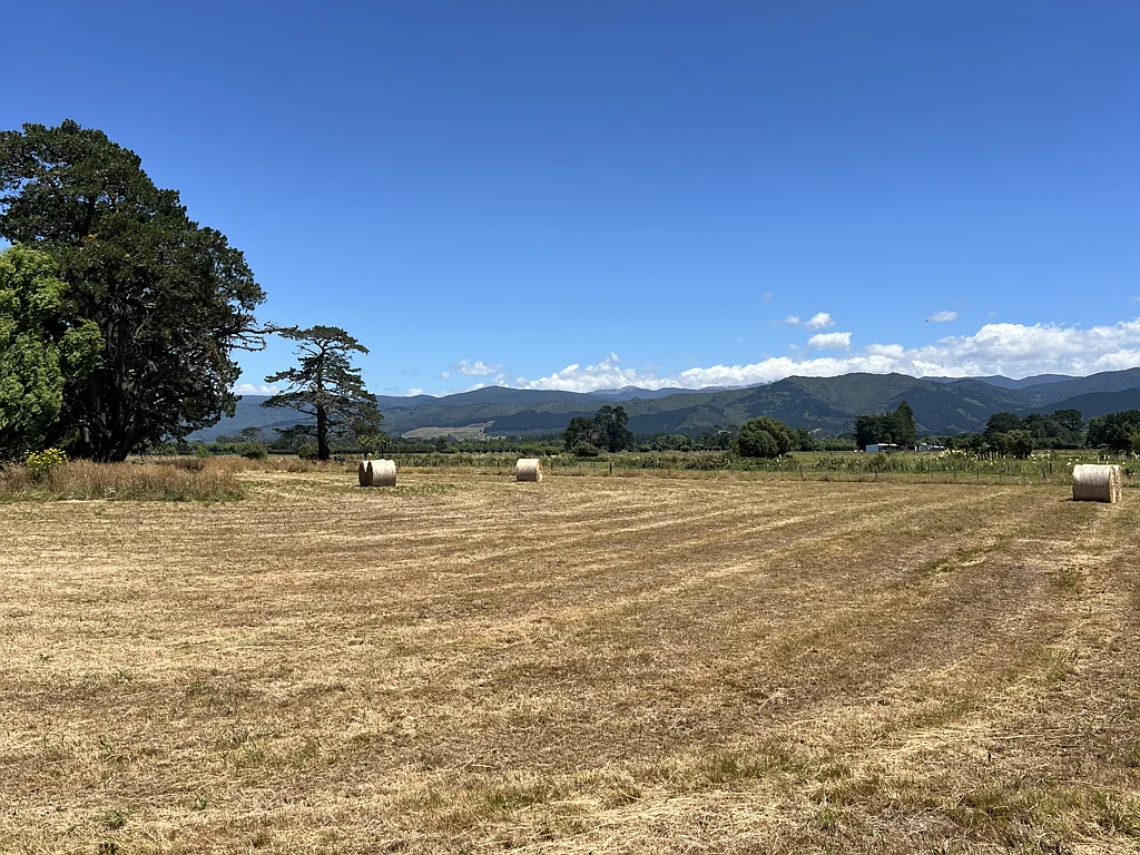 136 Lincoln Road, Carterton, Wellington