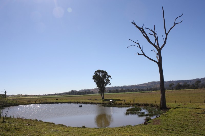 107 ROUND MOUNTAIN RD, LARAVALE QLD 4285, 0 Schlafzimmer, 0 Badezimmer, Lifestyle Property