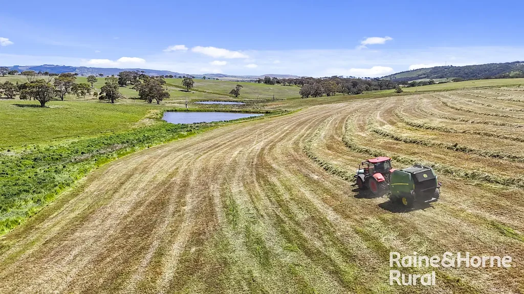Inman Valley 'Coorabong' & 'Kemmiss Hill' - Scale, Reliability & High Performance Grazing with 5 freehold titles of 337ha (832acs).