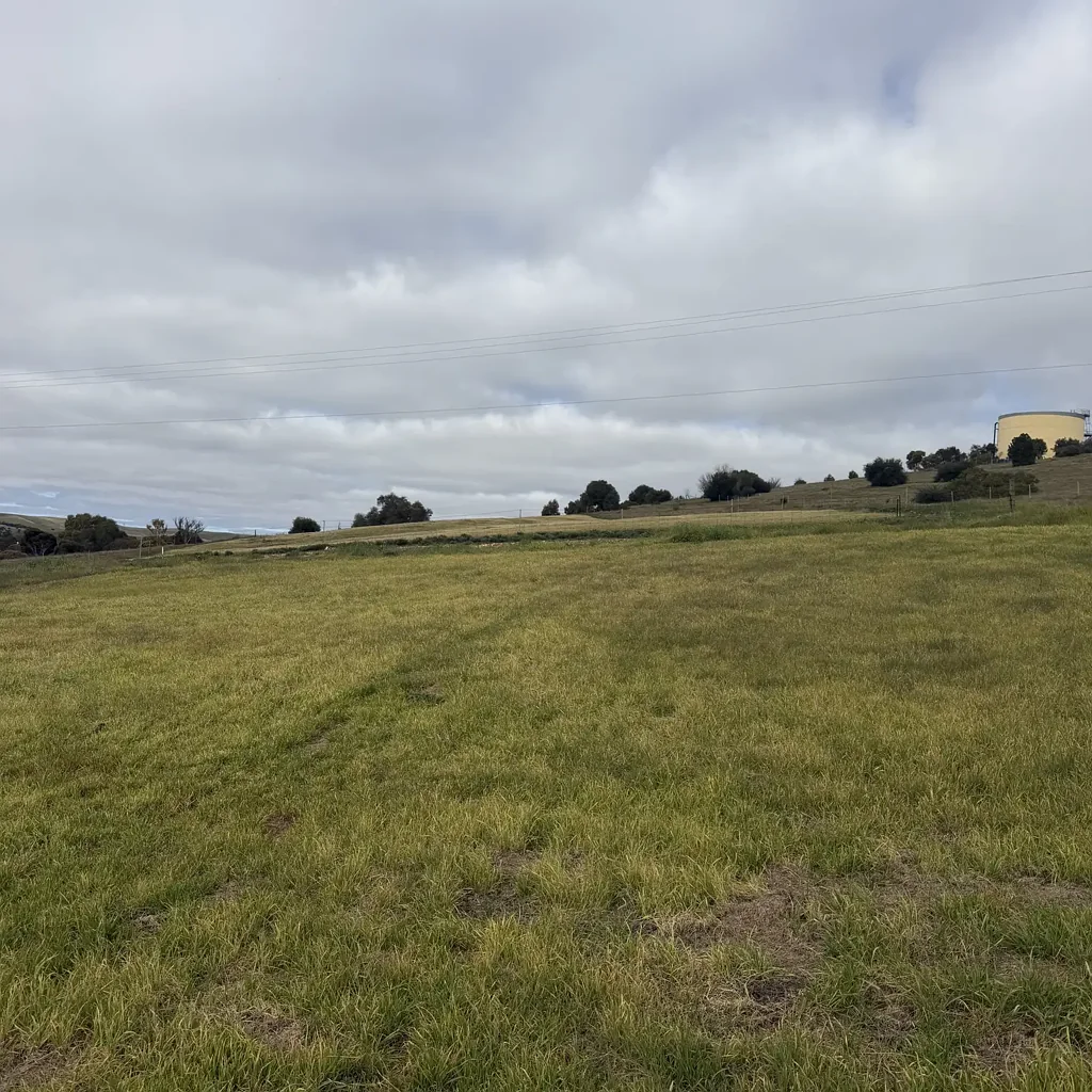 Burra Country Charm, Space & Spectacular Burra Hills Views