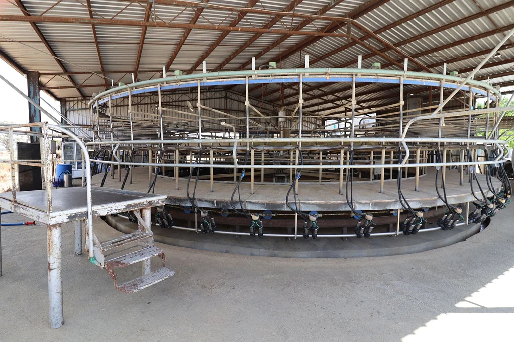 Horfield Large Scale Dairy Farm