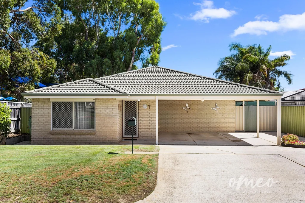 7 Stipa Rise, Beeliar, WA 6164