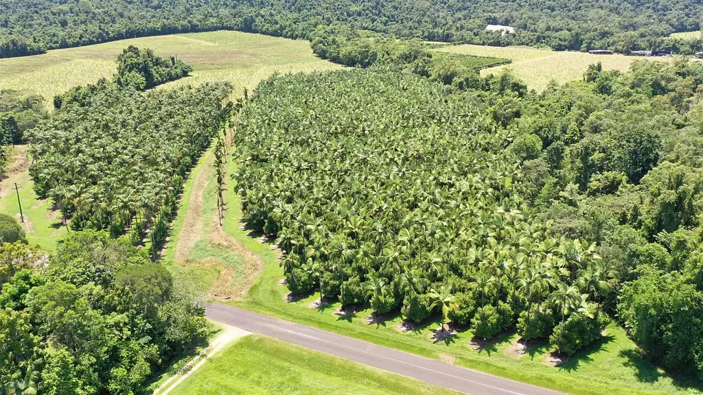 East Feluga  Large Exotic Tropical Fruit Orchard property with Water Licences, sheds, creeks, machinery & equipment