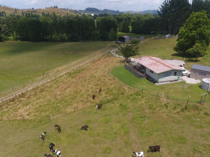 1007a State Highway 3, Hangatiki, Waitomo, 3房, 1浴