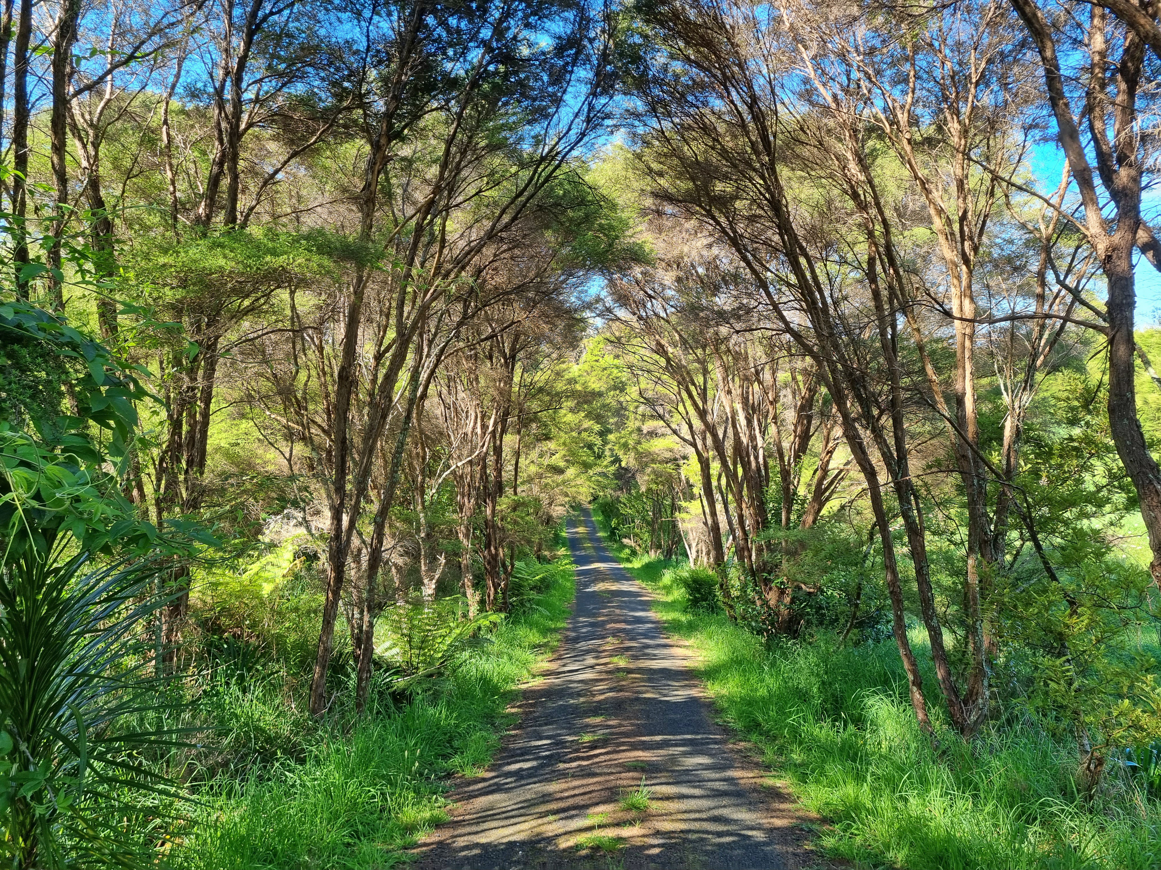 14c Greenslade Road, Raglan, Waikato, 0 Schlafzimmer, 0 Badezimmer, Section