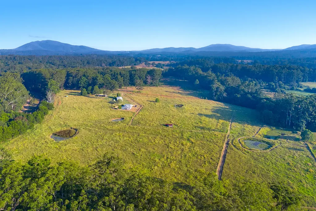Herons Creek 205 Acres of Prime Grazing Land | Coastal Convenience Meets Rural Freedom