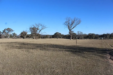 2087 Rabbit Fence Road, Pozieres, QLD 4352, 0房, 0浴, Section