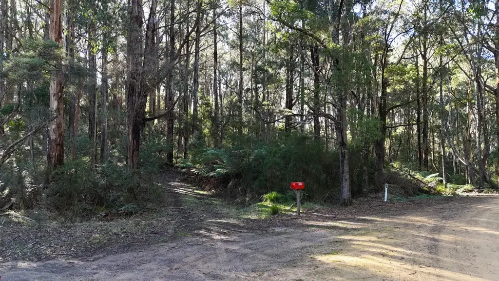 Glenaire Where Families Unplug and Wildlife Roams Free