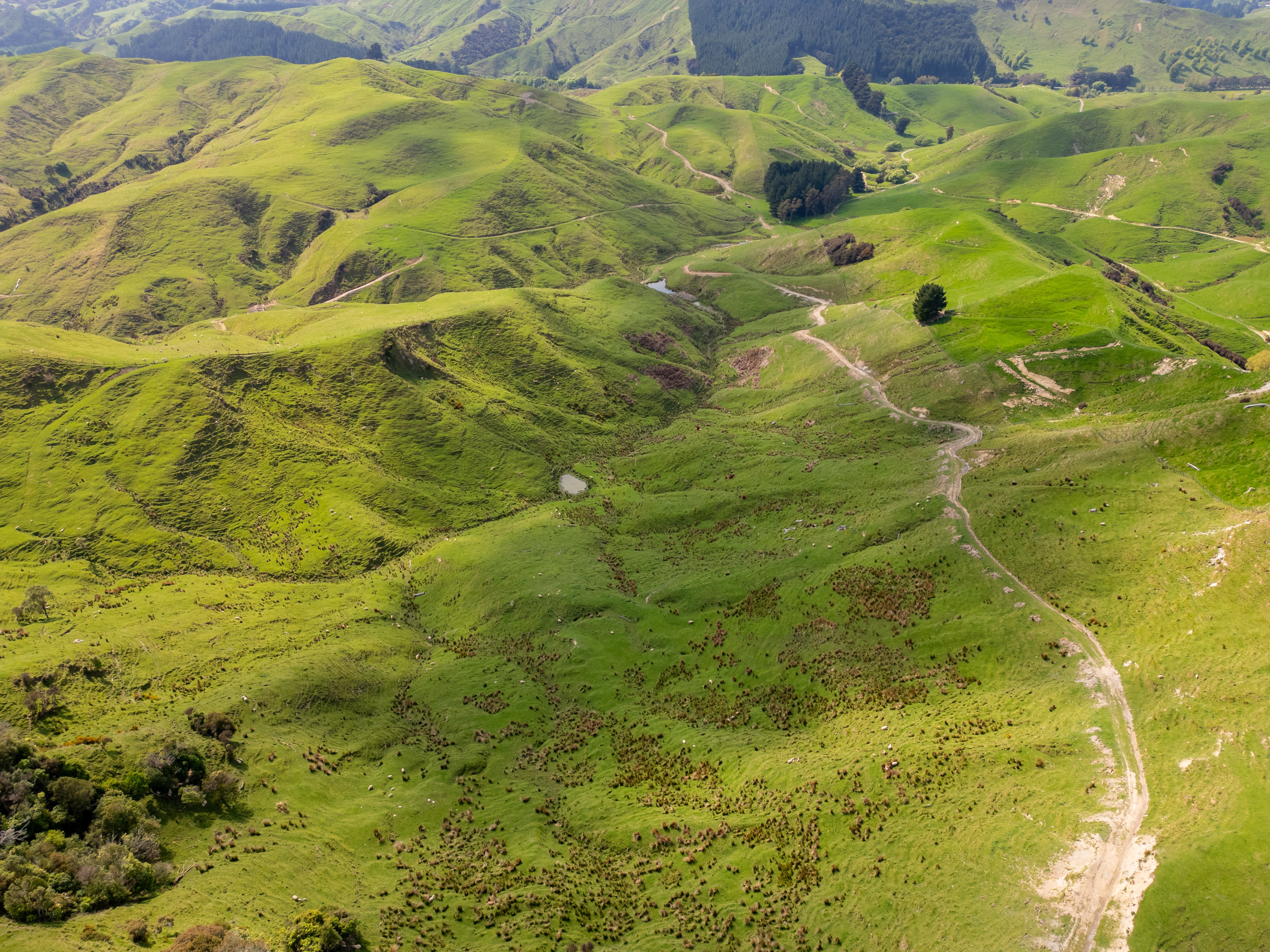 1823 Opaki Kaiparoro Road, Mauriceville, Masterton, 0 phòng ngủ, 0 phòng tắm, Grazing