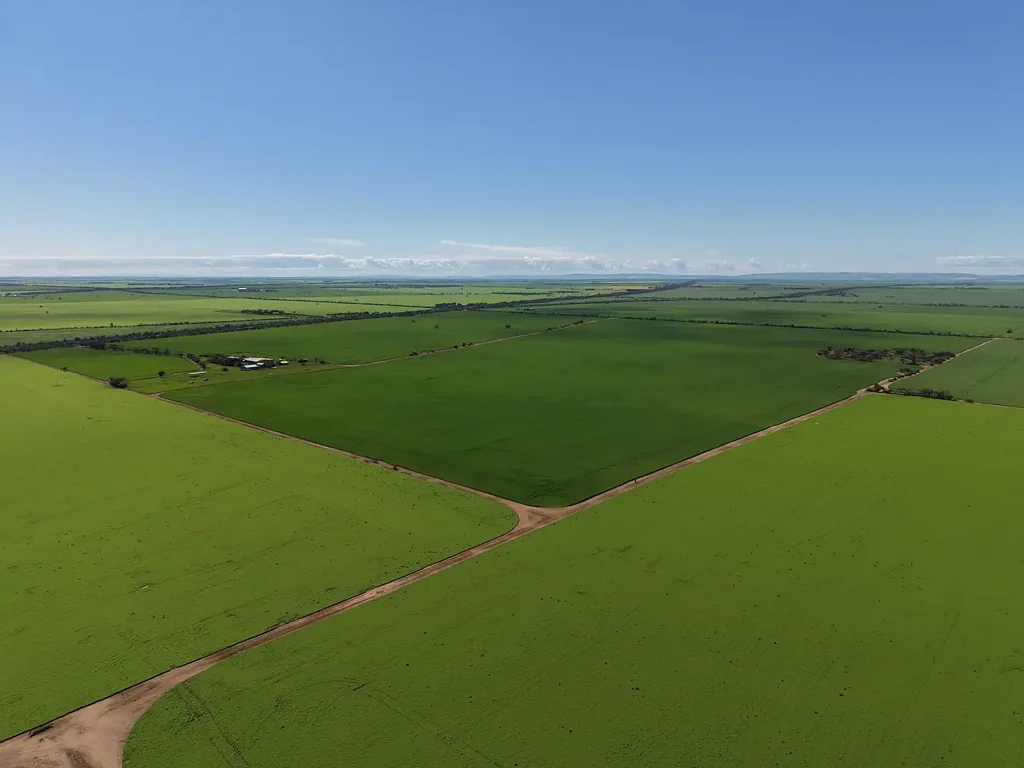 Willamulka Broadacre Opportunity