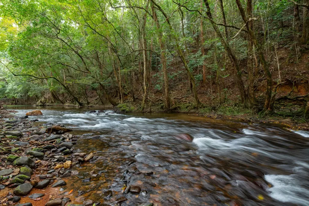 Little Mulgrave 1Habitaciones 30 Acres of Hidden Riverfront Haven | Off-the-Grid  Lifestyle  Opportunity