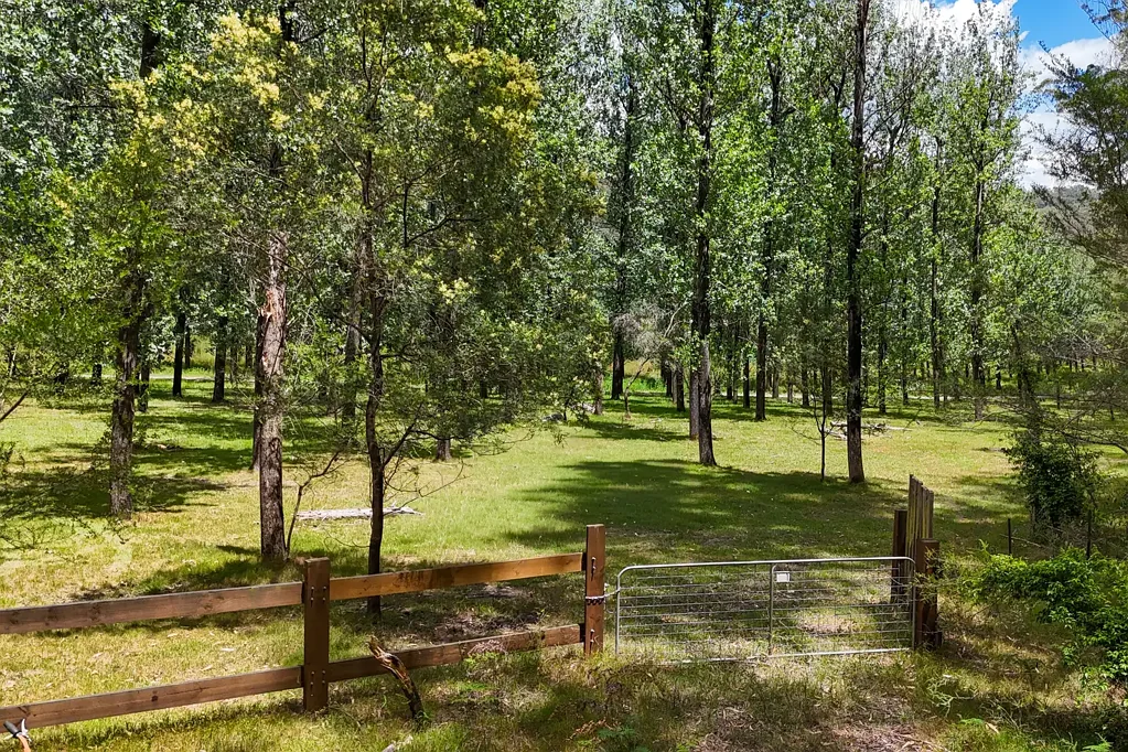 Webbs Creek 2部屋 Large 22.86-Hectare Parcel of Australian Mountain Bushland
Price Guide: $420,000 to $450,000