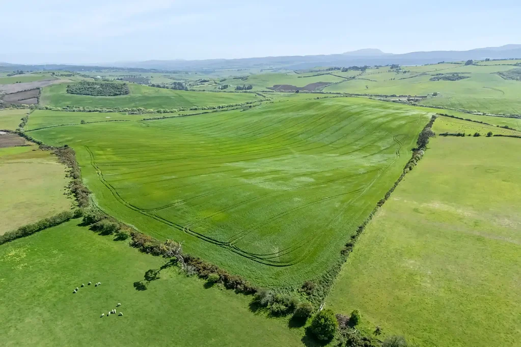 White Hills Burnbrae - Premium Greenfield Viticulture Opportunity in White Hills