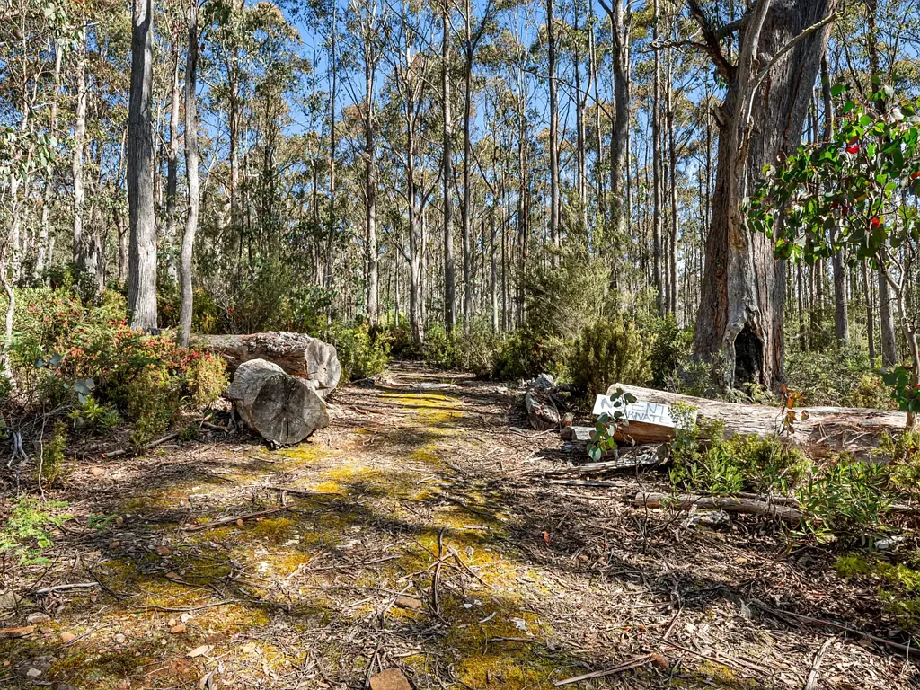Lachlan Pristine Natural Bushland