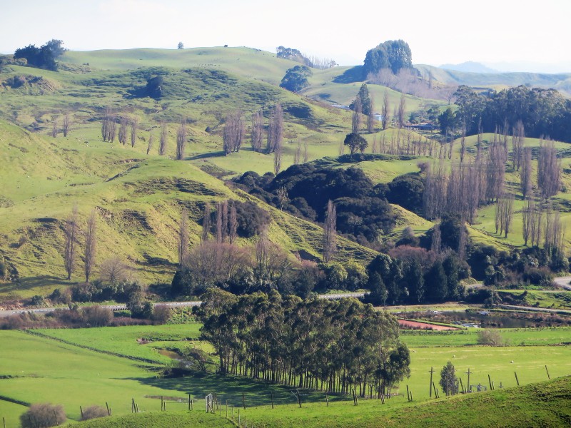 3475 State Highway 1, Hunterville, Rangitikei, 3 Bedrooms, 0 Bathrooms