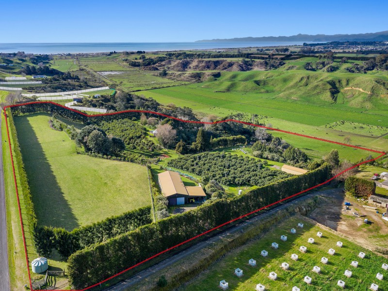 333 Paerata Ridge Road, Opotiki and Surrounds, Opotiki, 4 ਕਮਰੇ, 0 ਬਾਥਰੂਮ